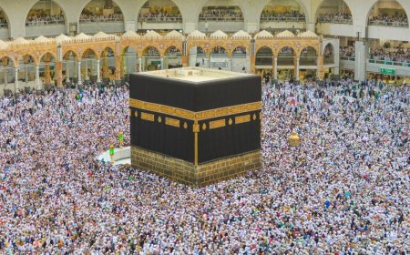 Hajj Deaths: 98 Indian Pilgrims Died In Mecca Amid Intense Heatwave In Saudi Arabia, Says MEA