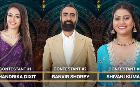 Chandrika Dixit to Ranvir Shorey: Meet the Official Contestants of Bigg Boss OTT 3 Hosted by Anil Kapoor
