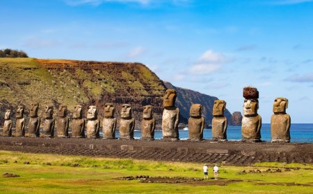 A new study challenges the idea that Rapa Nui islanders caused an ‘ecocide’