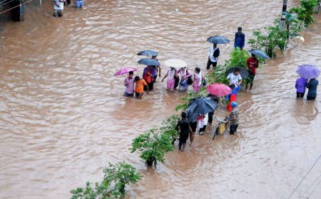 Assam Floods: Death Toll Reaches 37, Situation Grim; Over 100 Relief Camps And 125 Relief Distribution Centres Functional