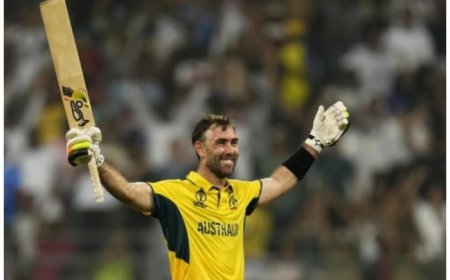 Glenn Maxwell Decodes Reason Behind Travis Head, David Warner Complementing Each Other In Opening Slot