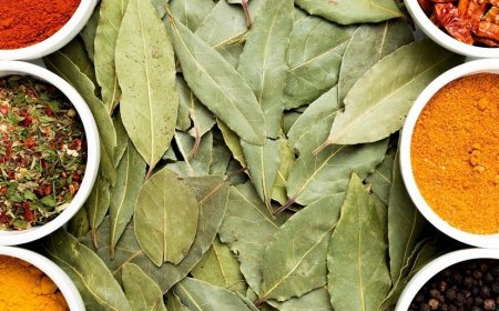 Is it Beneficial to Consume Curry Leaves Daily? Here’s What You Need to Know