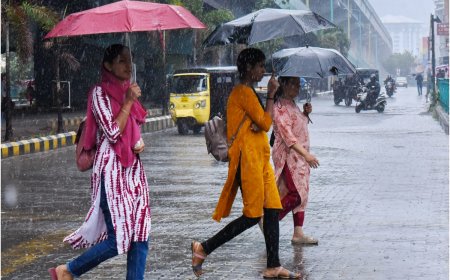 Uttar Pradesh Monsoon Update: Rain Lashes Parts of Noida City, Temperature Dips Marginally