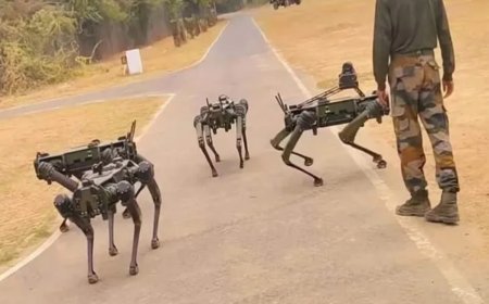 Indian Army To Induct 25 Remote-Controlled MULE Robot Dogs; Know All About It Here