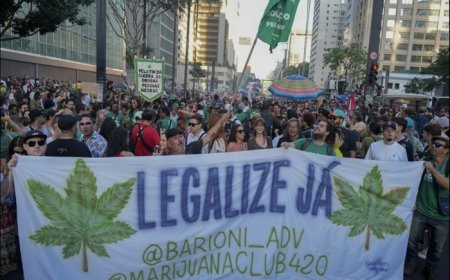 Brazil Decriminalizes Marijuana Possession For Personal Use, 1st Country In Latin America To Do So