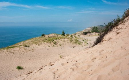 U.S. man banned from national parks for five years for doing this