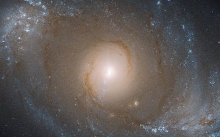 We may finally know the source of mysterious high-energy neutrinos