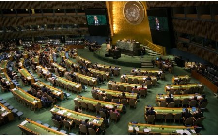 India Contributes USD 1.169 Mn To Continue Promotion Of Hindi At UN