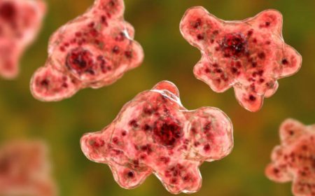 ‘Brain-Eating Amoeba’: 12-Yr-Old Kozhikode Boy Found Positive, 3rd Case In Kerala