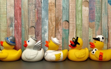 Carnival Cruise Line suggests an alternative to hiding ducks