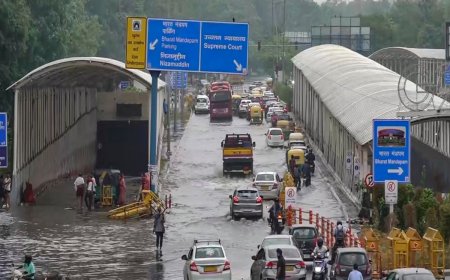 IMD Predicts Heavy Rains For Northwest And Northeast India Over Next 5 Days; Full Forecast Here