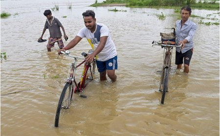 Heavy Rains Wreak Havoc in Haridwar, Vehicles Caught in Strong Currents