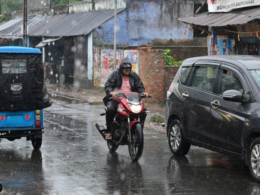 IMD Weather Update: Monsoon To Reach Bihar and Jharkhand By These Days | Check Full Climate Update Here