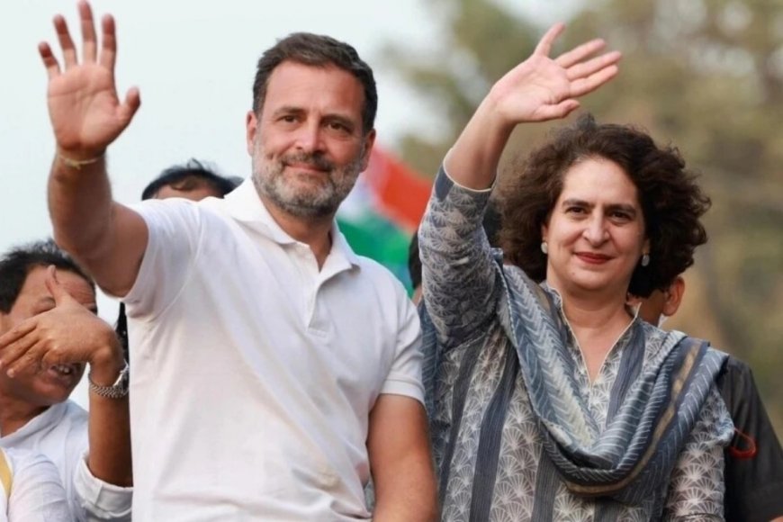 Priyanka Gandhi Vadra To Contest From Wayanad As Rahul Gandhi Retains Rae Bareli