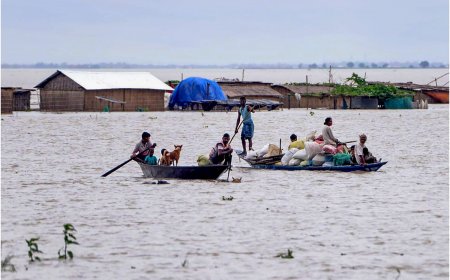 PM Modi Calls Assam CM Himanta Biswa Sarma As flood Situation Worsens | What Causes This Situation Every Year Explained
