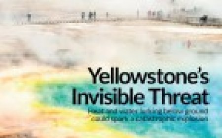 Readers discuss dark energy, Ötzi’s tattoos and sneaky plant invasions