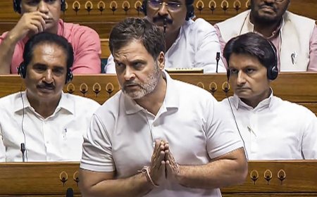 Rahul Gandhi's 'indecent, undignified' Lok Sabha speech expunged: What's the mechanism of expunction