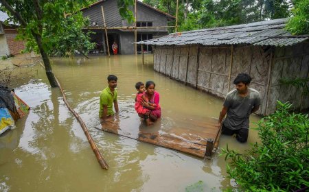Heavy Rains Wreak Havoc in Assam: 6.71 Lakh People Affected in Severe Flood, Wildlife in Kaziranga Seeks Refuge