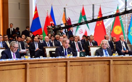 Pakistan’s ‘Look Who’s Talking’ Moment At SCO As PM Shehbaz Sharif Raises ‘Terrorism’ Issues
