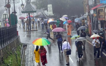 Himachal Pradesh Travel Advisory: 115 Roads Closed, IMD Issues Orange Alert As Very Heavy Rains Forecasted