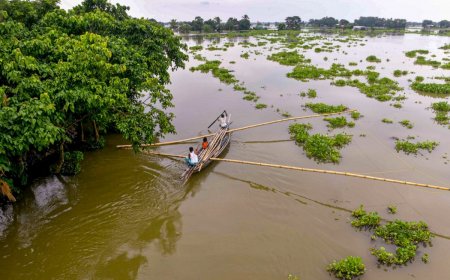 Monsoon Fury: Bihar Rivers Touch Danger Mark; Assam Flood Situation Still Critical As Torrential Rains Batter Eastern India