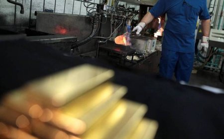 Hedge fund manager highlights gold mining stock as top pick