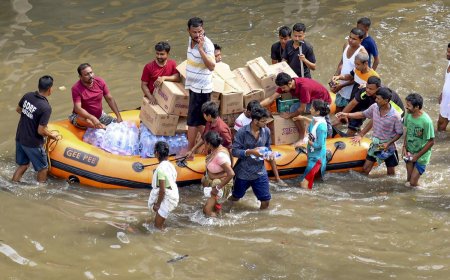Assam Flood: Situation Grim, Over 24 Lakh People Affected in 29 Districts