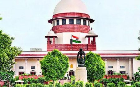 SC Sets Guidelines On portrayal Of Disabled Persons In Visual Media; Says ‘Term Cripple Acquired Devalued Meaning’