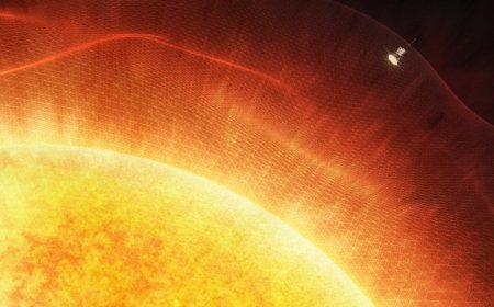 50 years ago, scientists were gearing up to hurl a probe at the sun