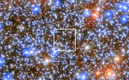 A middleweight black hole has been spotted for the first time in our galaxy