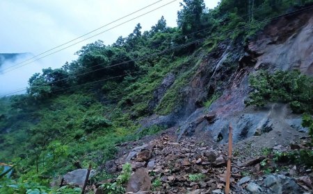Massive Landslide Sweeps Away 2 Buses Into Trishuli River In Nepal; Five Dozen People Suspected Missing