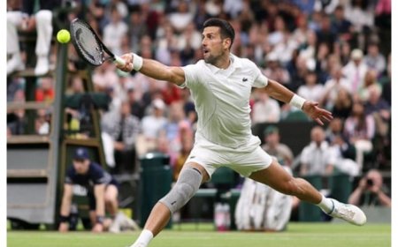 Djokovic Has A ‘Couple More’ Grand Slam Wins In Him, Can Level Federer’s Wimbledon Record: Leander Paes