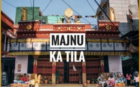 DDA Postpones Controversial Majnu Ka Tila Demolition Effort; Details Here