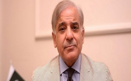 Amid Political Chaos, Pakistan PM Shehbaz Calls For Exposing Elements Spreading Uncertainty In Country