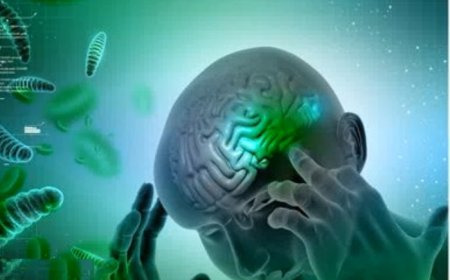 ‘Brain-Eating’ Amoeba Kills 22-Year-Old in Pakistan, Third Such Case This Year