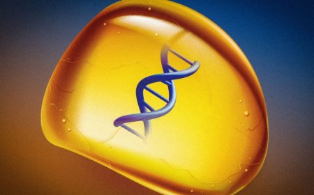 Jurassic Park’s amber-preserved dino DNA is now inspiring a way to store data 