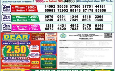 Nagaland Lottery Sambad Result 16.07.2024 For 1PM, 6PM, 8PM LIVE: Check Dear GODAVARI MORNING Rs. 1 Crore Lucky Draw Winning Numbers Shortly
