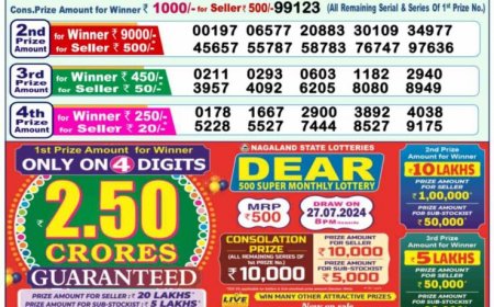 Nagaland Lottery Sambad Result 1PM, 6PM, 8PM For 17.07.2024 LIVE: Check Dear INDUS MORNING Rs. 1 Crore Lucky Draw Winning Numbers Shortly