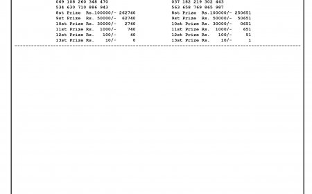 Bodoland Lottery Result Today(18-07-2024): Assam State Lucky Draw Lucky(DECLARED); Check Winners List, Ticket Number