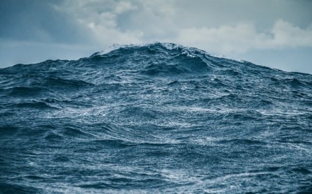 This AI can predict ship-sinking ‘freak’ waves minutes in advance