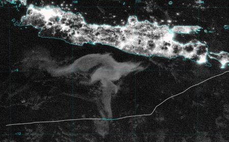 Can bioluminescent ‘milky seas’ be predicted?