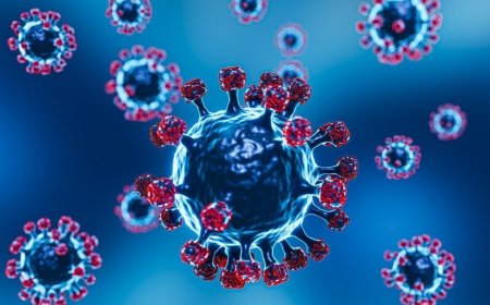 Chandipura Virus Outbreak in Gujarat: 5 Reasons Why This Deadly Infection Severely Affects Children