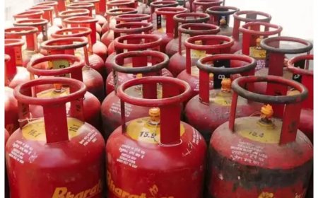 LPG Cylinders Price Was Reduced By Rs 200, Petrol & Diesel by Rs 2 per litre, Economic Survey Speaks Over Fuel Prices
