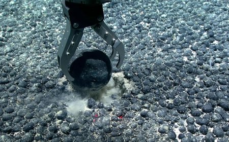 In a seafloor surprise, metal-rich chunks may generate deep-sea oxygen