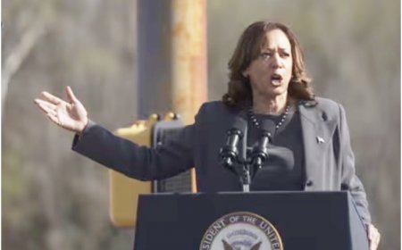 ‘Do Not See Anyone More Qualified’: White House Reacts To Kamala Harris’ Candidacy For US Presidential Election