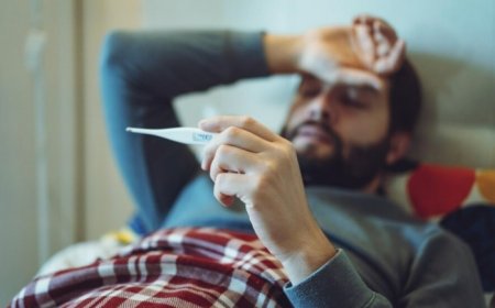 What Should You Do If High Fever Persists For More Than 24 Hours?