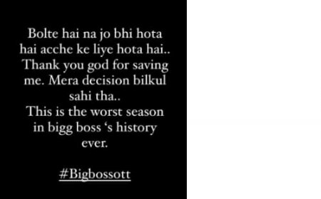 Bigg Boss OTT 3: Anjali Arora Says Her Decision of Turning Down Reality Show Was Right, Calls It ‘Worst Season’