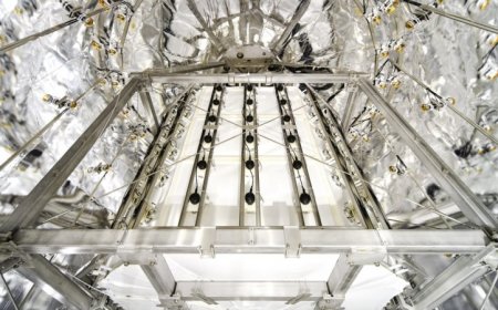 Dark matter experiments get a first peek at the ‘neutrino fog’ 