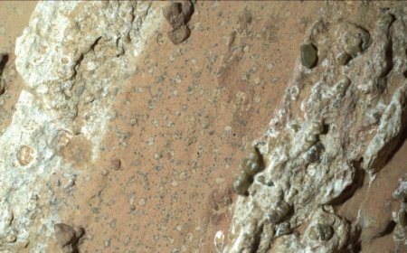NASA’s Perseverance rover finds its first possible hint of ancient life on Mars