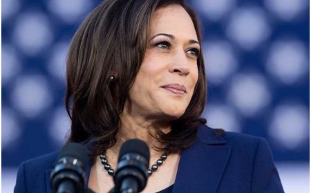 Kamala Harris Condemns US Flag Burning During Netanyahu’s Address to Congress